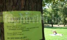 Все повече ухапани от кърлежи в Пловдив