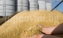4 юли е крайния срок за подаване на декларация за произведено и налично зърно