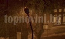 Зарибиха езерото в лесопарк "Липник" с едри шарани