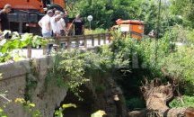 Премахнаха опасно дърво под моста за село Шемшево