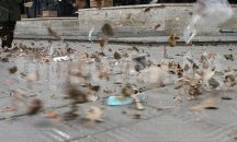 Бурен вятър в Хасковска област