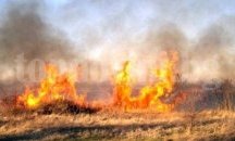 Пожар изпепели ябълкова градина в "Коматево"