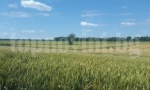 По-ниска лихва по облигационния заем договори Община Шумен