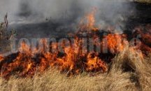 Огънят изпепели 10 хиляди декара сухи треви край Пловдив