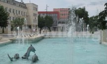 Пълни отчети от общинските дружества поискаха в Търговище
