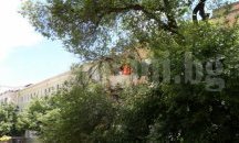 Инжектираха повторно Стария бряст