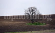 До края на юли собствениците на ниви трябва да обявят как ще ги стопанисват