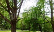 Оранжев код за опасно време е обявен за Сливенска област