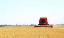 Приключи жътвата на ечемик в Шуменско