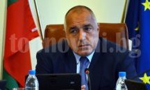 Бойко Борисов обсъжда с природозащитници и министри проблема с мътрвите делфини
