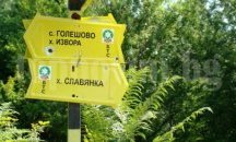 Иззеха мурсалски чай в село Голешово