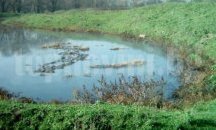 Взети са мерки за ликвидиране на замърсяването с отпадъчни води в разградското село Брестовене