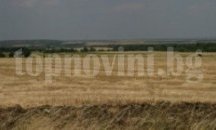 Приключва жътвата на ечемика в Сливенско