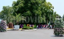 Български и италиански майстори ще ваят скулптури от камък в Морската градина