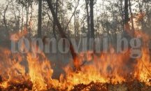 Червен код заради опасност от пожари
