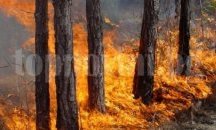Вече пети ден горските стражари се борят с пожара край суворовското село Баново