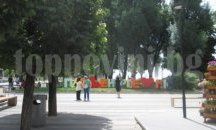 Плевенската „Паркстрой“ е спестила 500 хил. лева от външни услуги