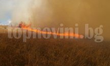 Пожар изпепели 350 декара гора и храсти в Ямболско