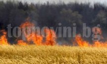 83 декара с пшеница са изгорели в област Добрич от началото на жътвата