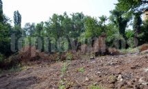 Пленер под мотото „ Механично смесване на култури“ откриха в квартал „Вароша“ в Благоевград