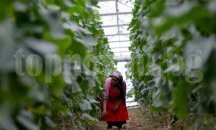 Над 4300 еднодневни договора са заверени в област Добрич