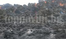 44 пожара горяха в Пловдивско през последното денонощие