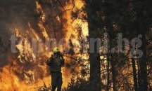 Горски стражари от Добрич и Балчик се включиха в гасенето на пожара до с. Генерал Кантарджиево