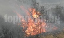 Пожарът до с. Г. Кантарджиево вдигна на крак служители на 3 горски стопанства