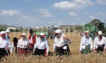 С „Рязане на брада“ изпратиха жътвения сезон в с. Кипра