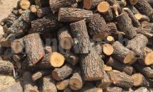 21 кубика незаконна дървесина намериха в Старозагорско
