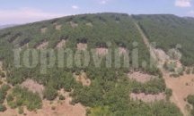 Прокуратурата подхвана сечта в гората край Сърница