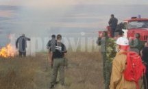 Пастир запалил пожара в Черна могила