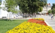 Над 7500 кубика вода отиват за поливане в Плевен