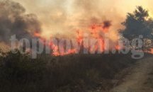 13 пожара за ден в област Сливен