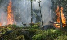 Нов пожар край с. Никудин вдигна на крак служители на ЮЗДП