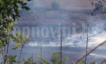 Пожар пламна край Добрич, няма опасност за населението