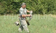 Утре откриват ловния сезон на мигриращ дивеч