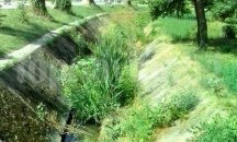 Община Добрич: Граждани използват река Добричка за сметище