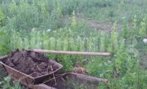 Спират торене заради неприятна миризма в Търговище
