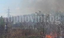 Заловиха младеж, докато подпалва пожар в покрайнините на Добрич
