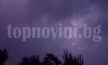 Отстраниха паднали дървета по пътя Русе- Бяла