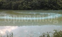 Цветът на водата на яз. „Пчелин 1” е в резултат на гнилостни процеси на планктона