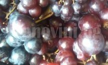 Големият внос от Гърция свали цената на гроздето по столичните пазари