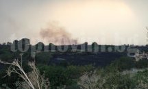 Огромен пожар в Харманлийско, обявиха бедствено положение