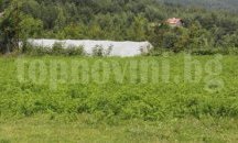 Отдават под наем 5512 декара държавни пасища, мери и ливади в област Разград