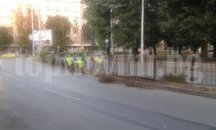 Общинската "Паркстрой" подряза 4500 храсти в Плевен