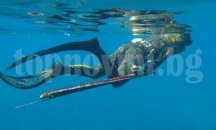 Празник на водните спортове предстои във Варна
