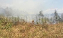 Над 3000 дка изгоряха в Старозагорско