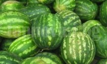 На специално определени пунктове продават дини на открито в Търговище