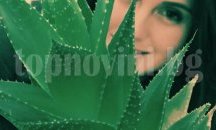 Издирваната пловдивчанка не е откраднала, а преместила кутията с дарениета за лечение